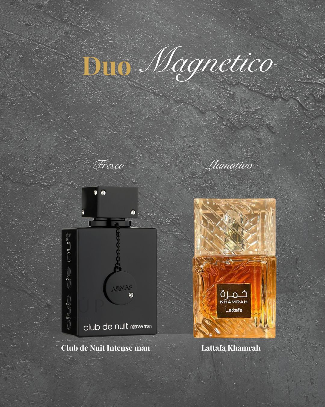 Duo Magnetico