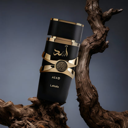 LATTAFA ASAD HM Eau de Parfum 100ml